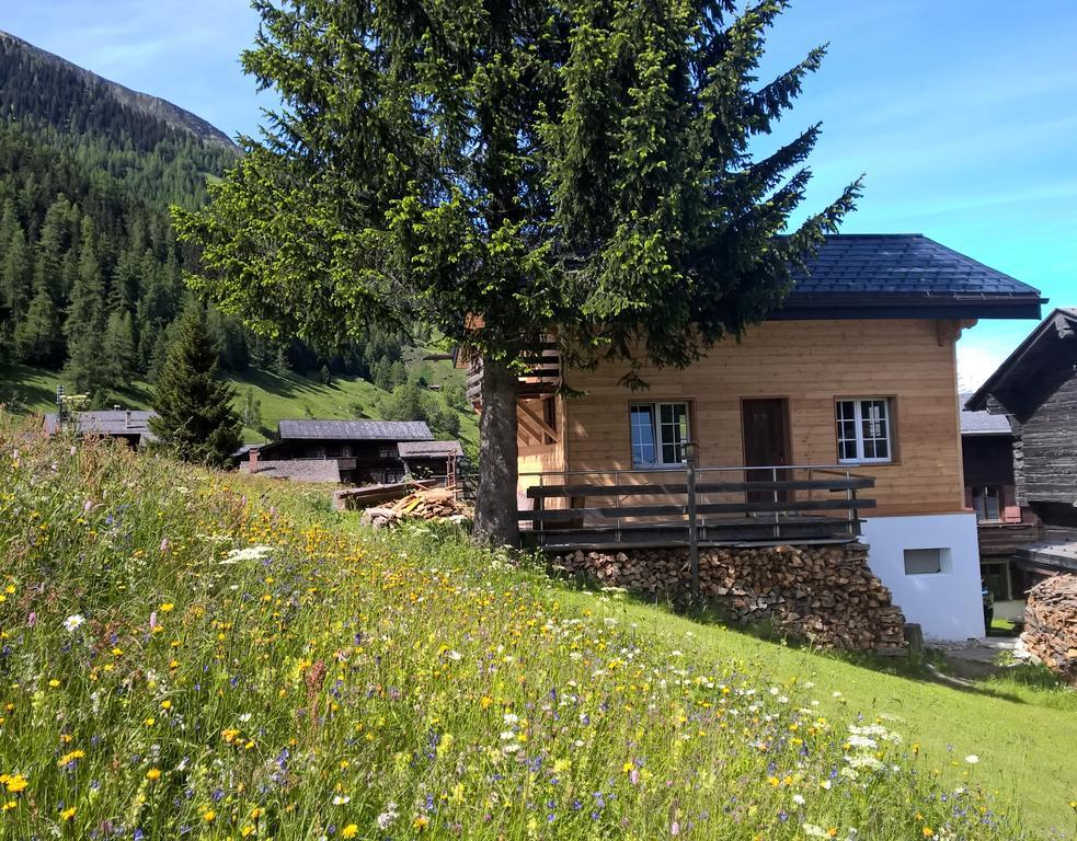 Chalet Daheim Reckingen Exterior photo